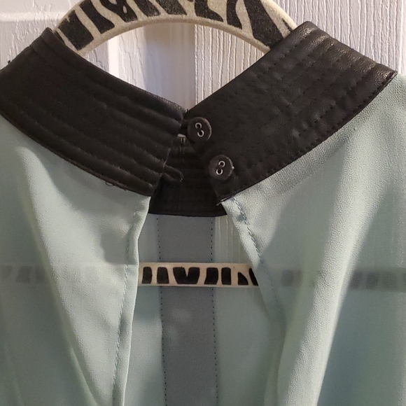 Sheer Blouse - Picture 7 of 8